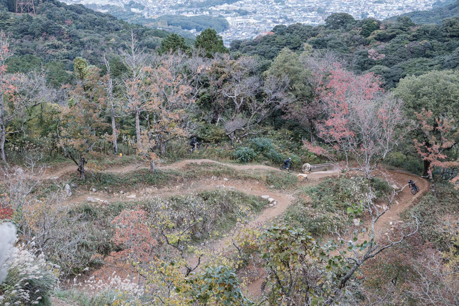 フォレストアドベンチャー油山-3