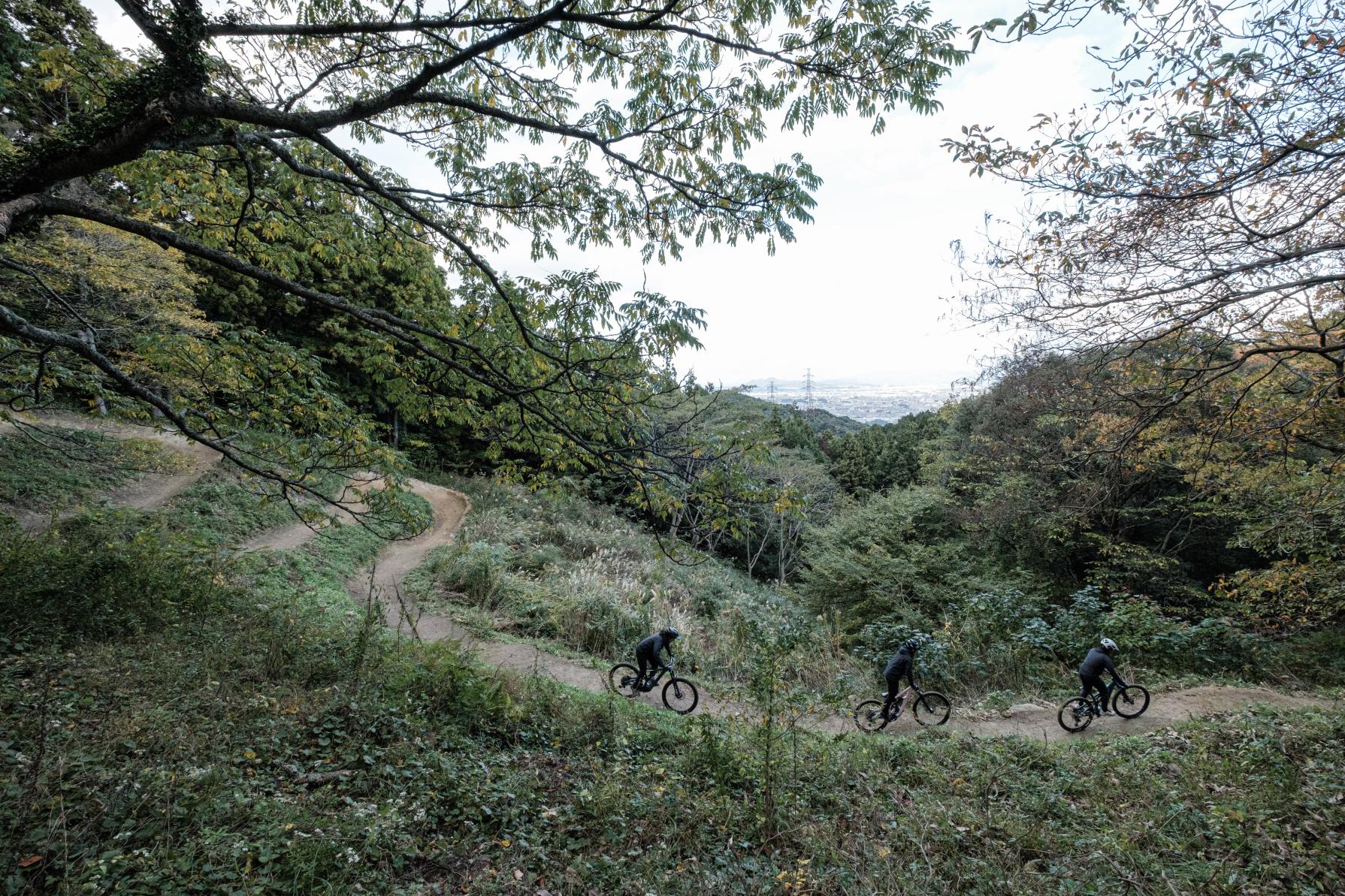 フォレストアドベンチャー油山-2