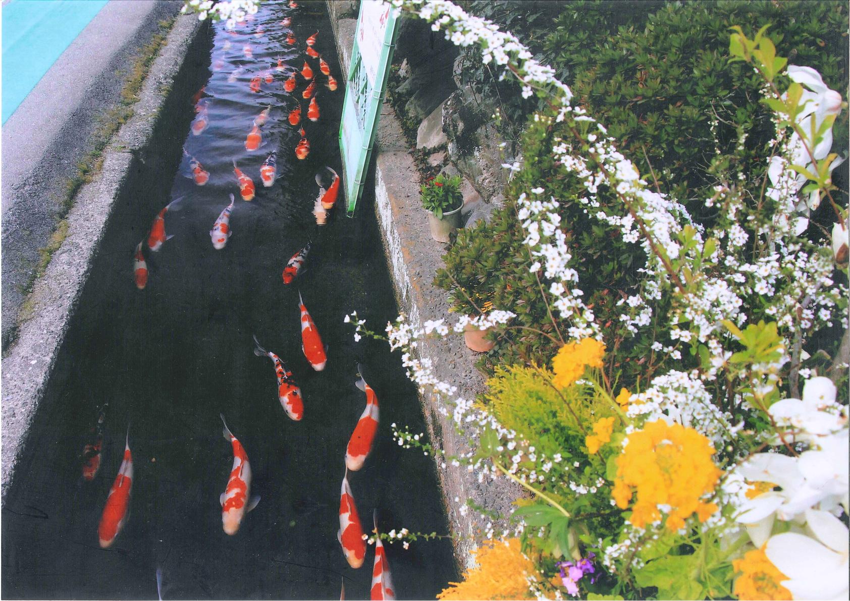 久山町ってどんなところ？-2