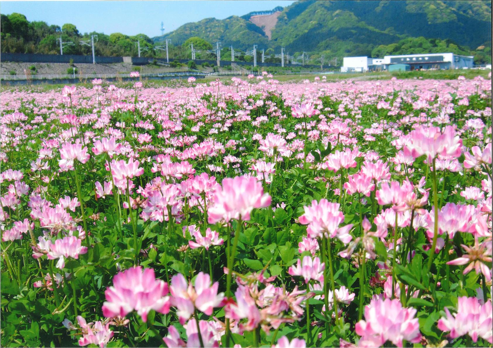 久山町ってどんなところ？-1