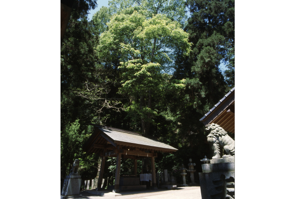 ＜久山町での楽しみ方②＞歴史・文化を感じてみませんか-0