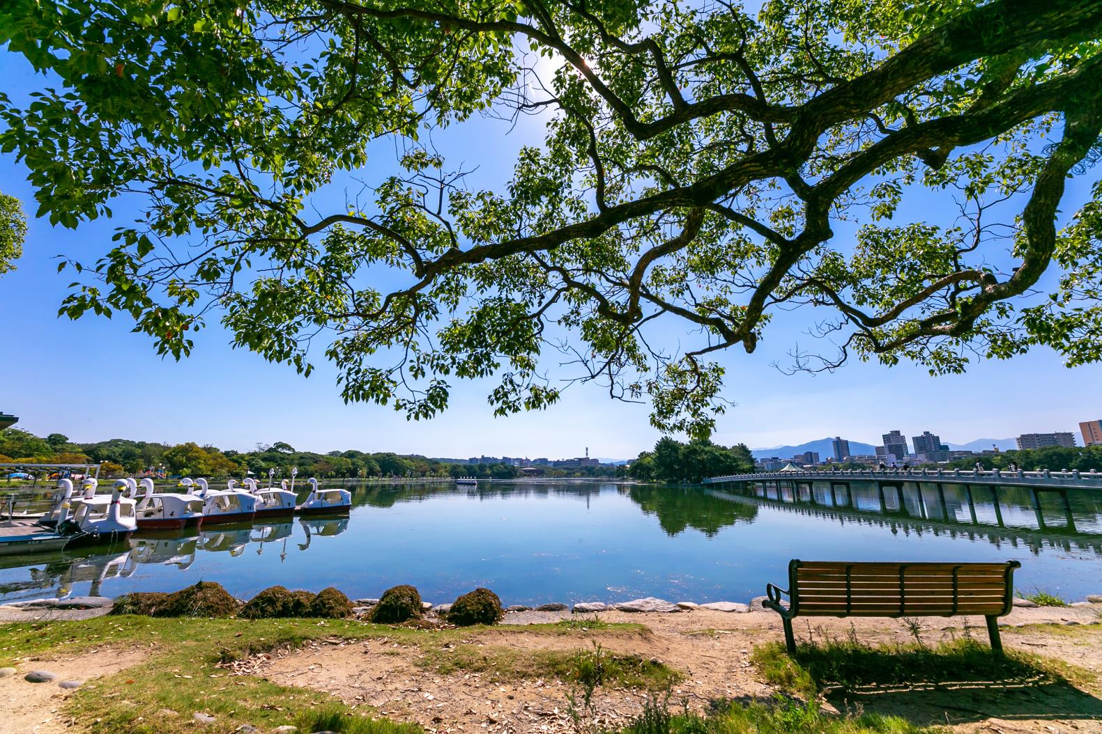 The urban oasis of Ohori Park, and the rich historical atmosphere of Fukuoka Castle-0