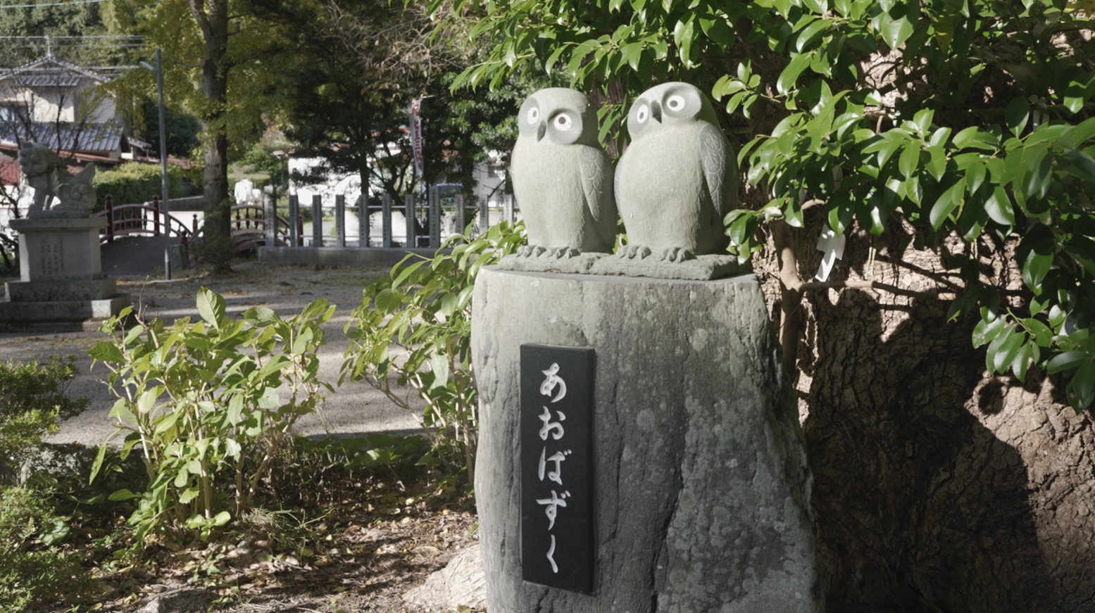 高倉神社で初夏に会える縁結びの生き神様！？-0