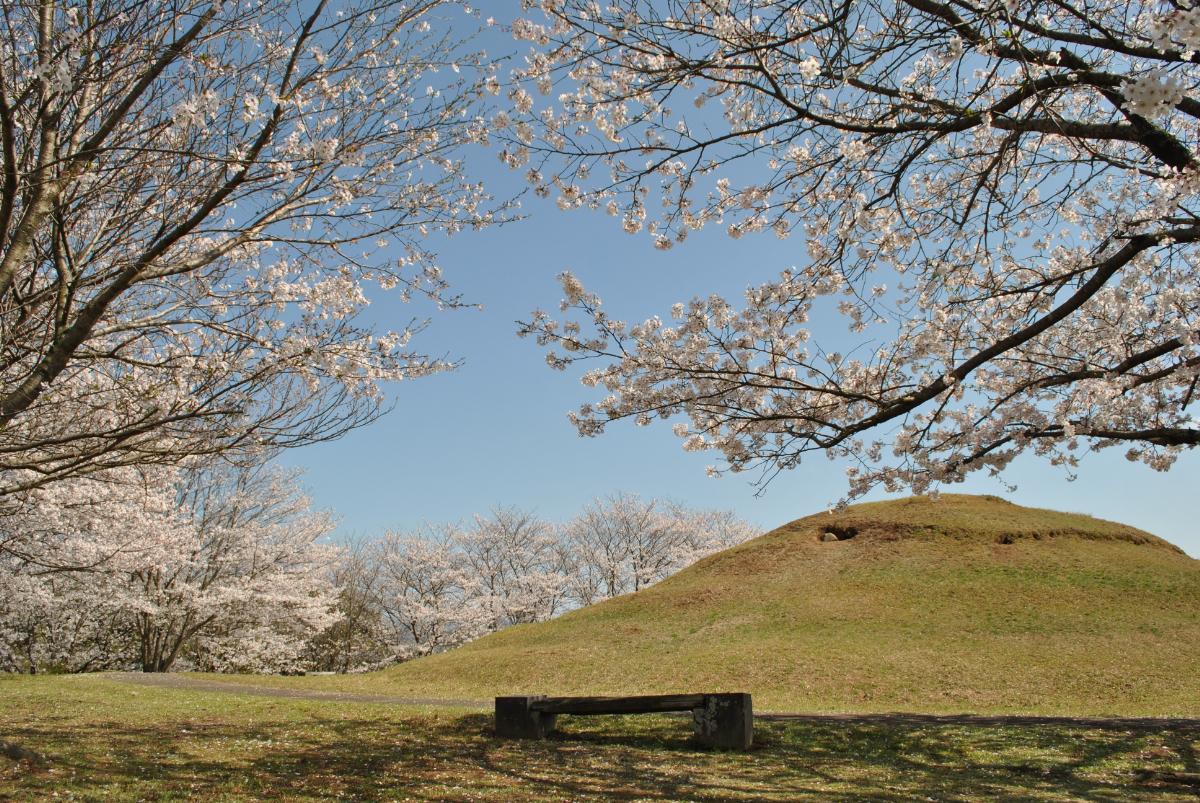 これから（春）の見どころ-0