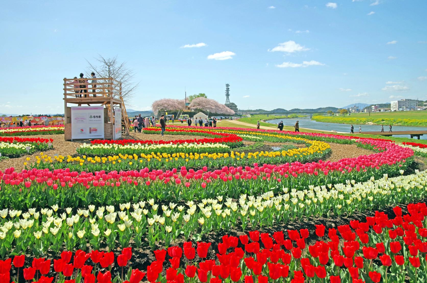 Parc Riverside de Nogata sur la rivière Ongagawa (Ville de Nogata)-1