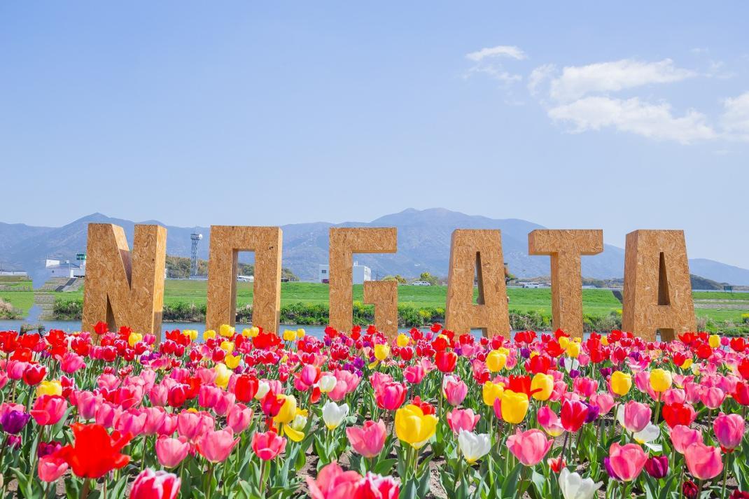 3月　春の訪れとともに、福岡で新たな季節を感じよう-0