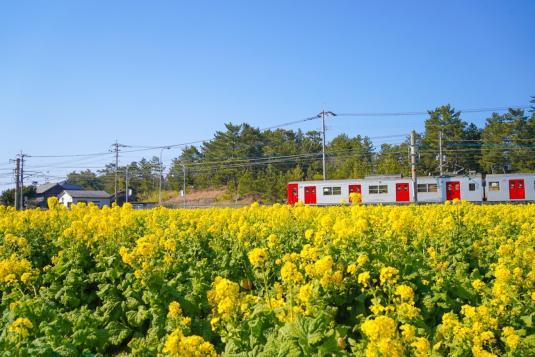 3月　春の訪れとともに、福岡で新たな季節を感じよう-1