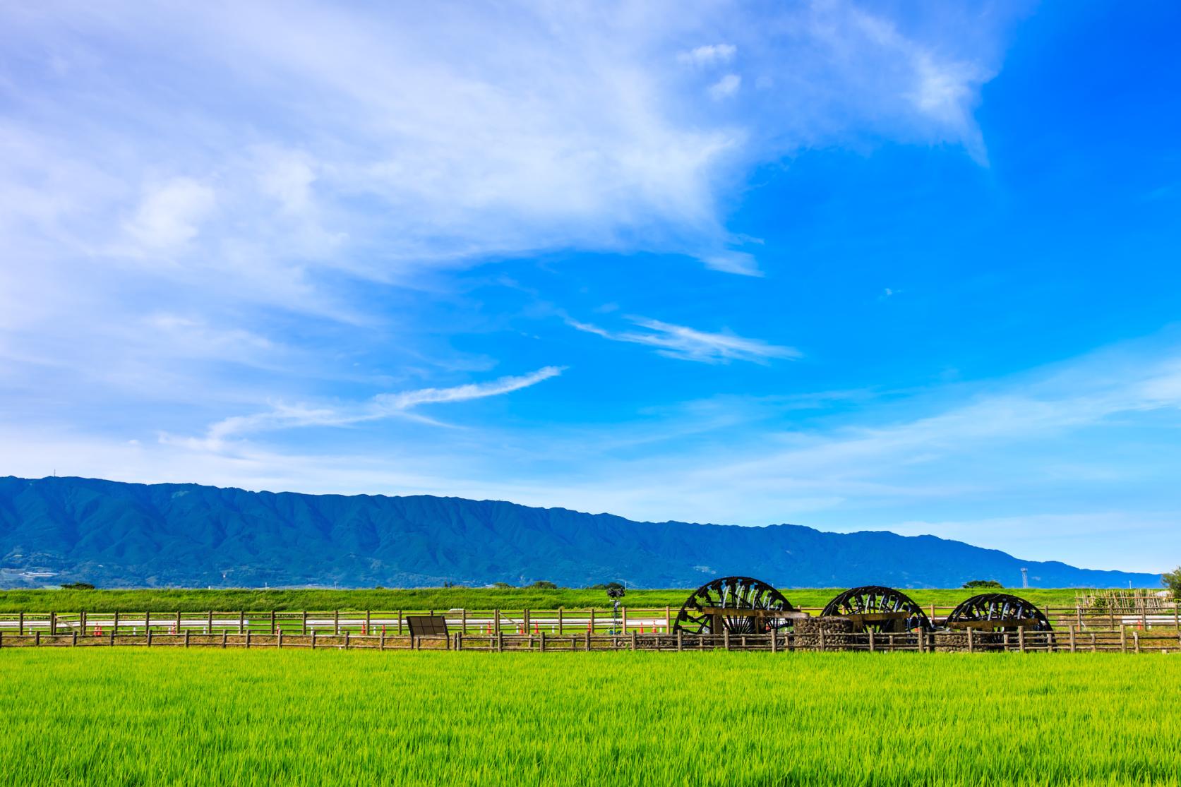 福岡エリア：都心と自然が近い九州・アジアの玄関口-3