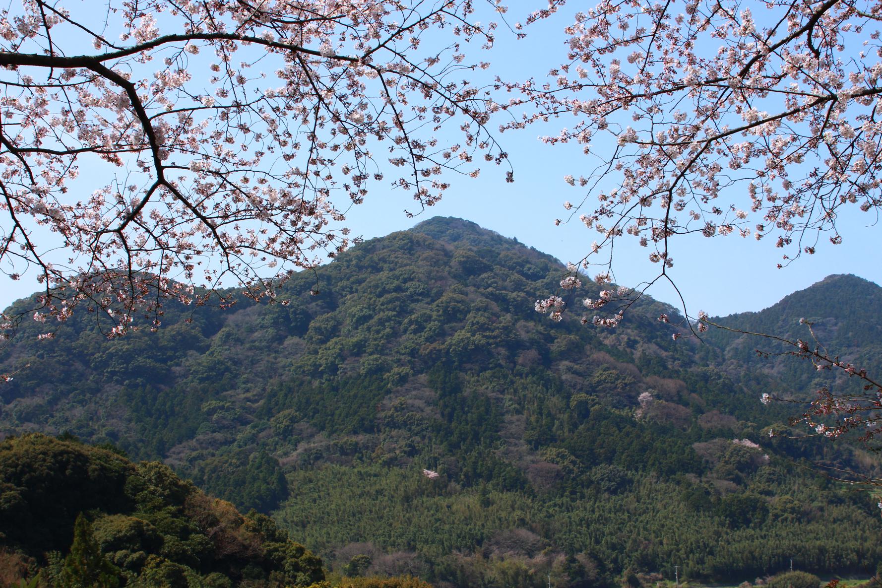 福岡エリア：都心と自然が近い九州・アジアの玄関口-2