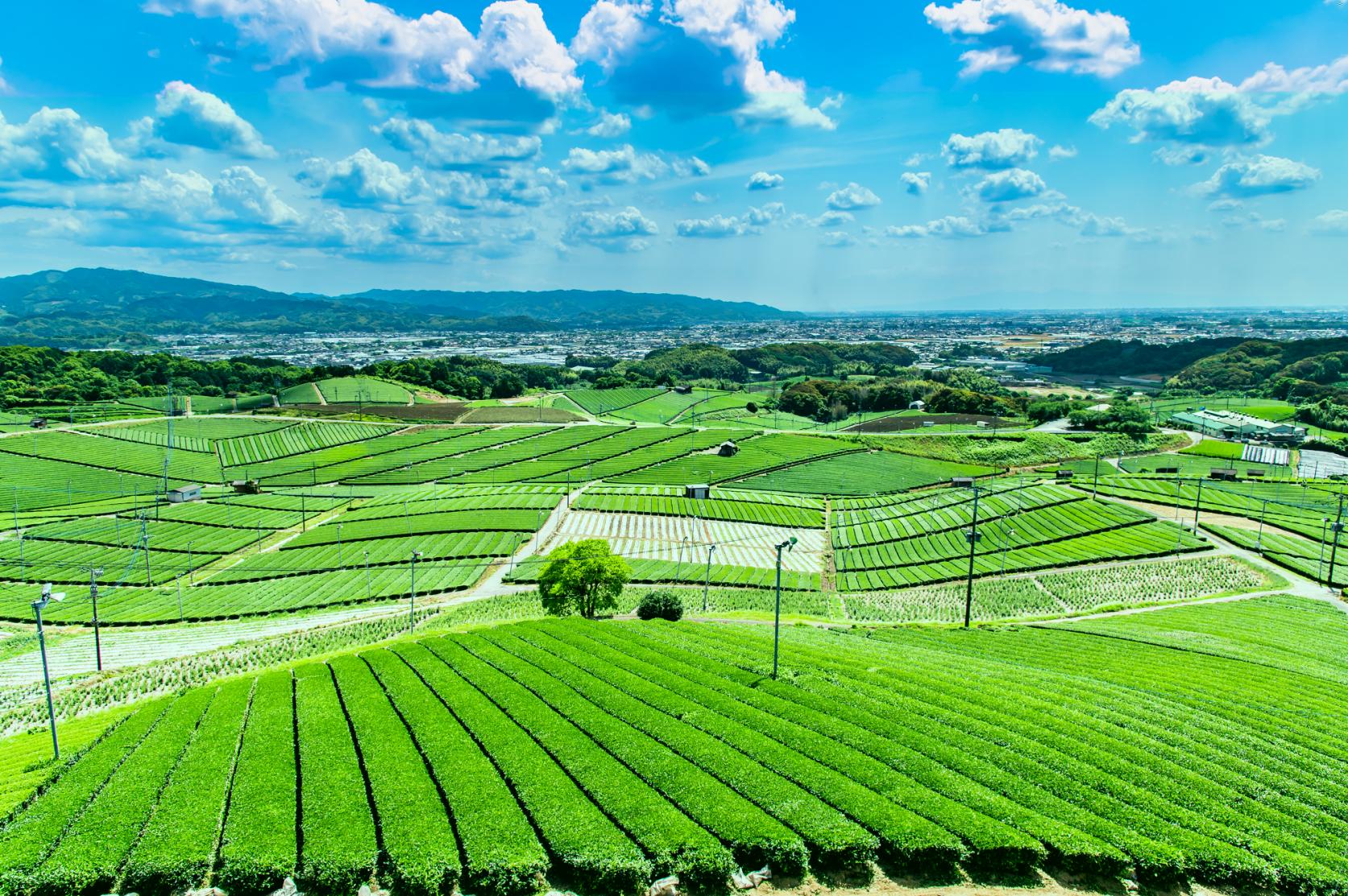 筑後エリア：筑後川の恵みとものづくりの伝統が息づく-1