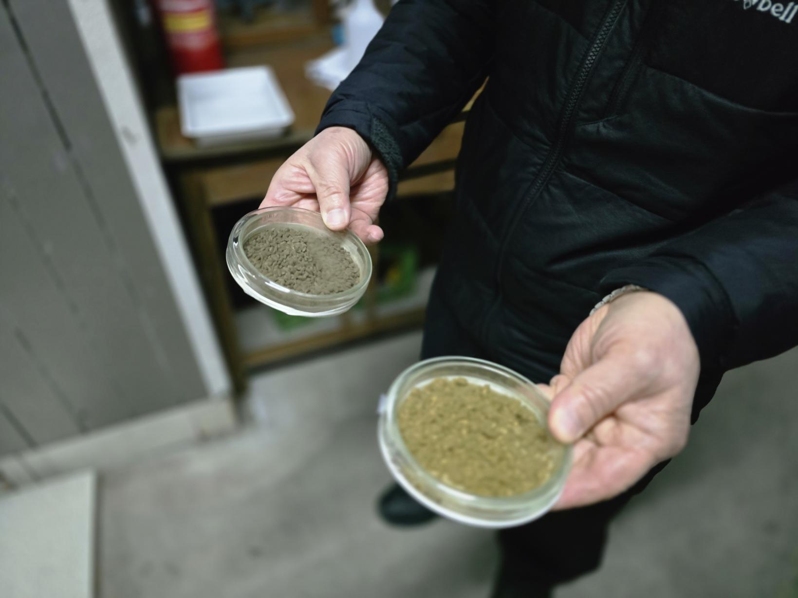池龜酒造：能買到稀有的黑麴釀造清酒與水果利口酒！-4
