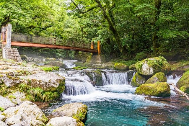◆ 10:00｜大観峰出発、ミルクロード～菊池渓谷へ-1
