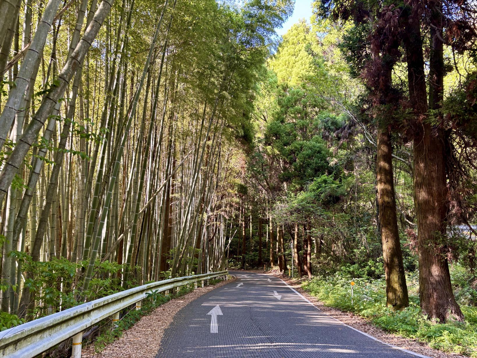 最後の峠、県境を越えて大牟田へ！-3