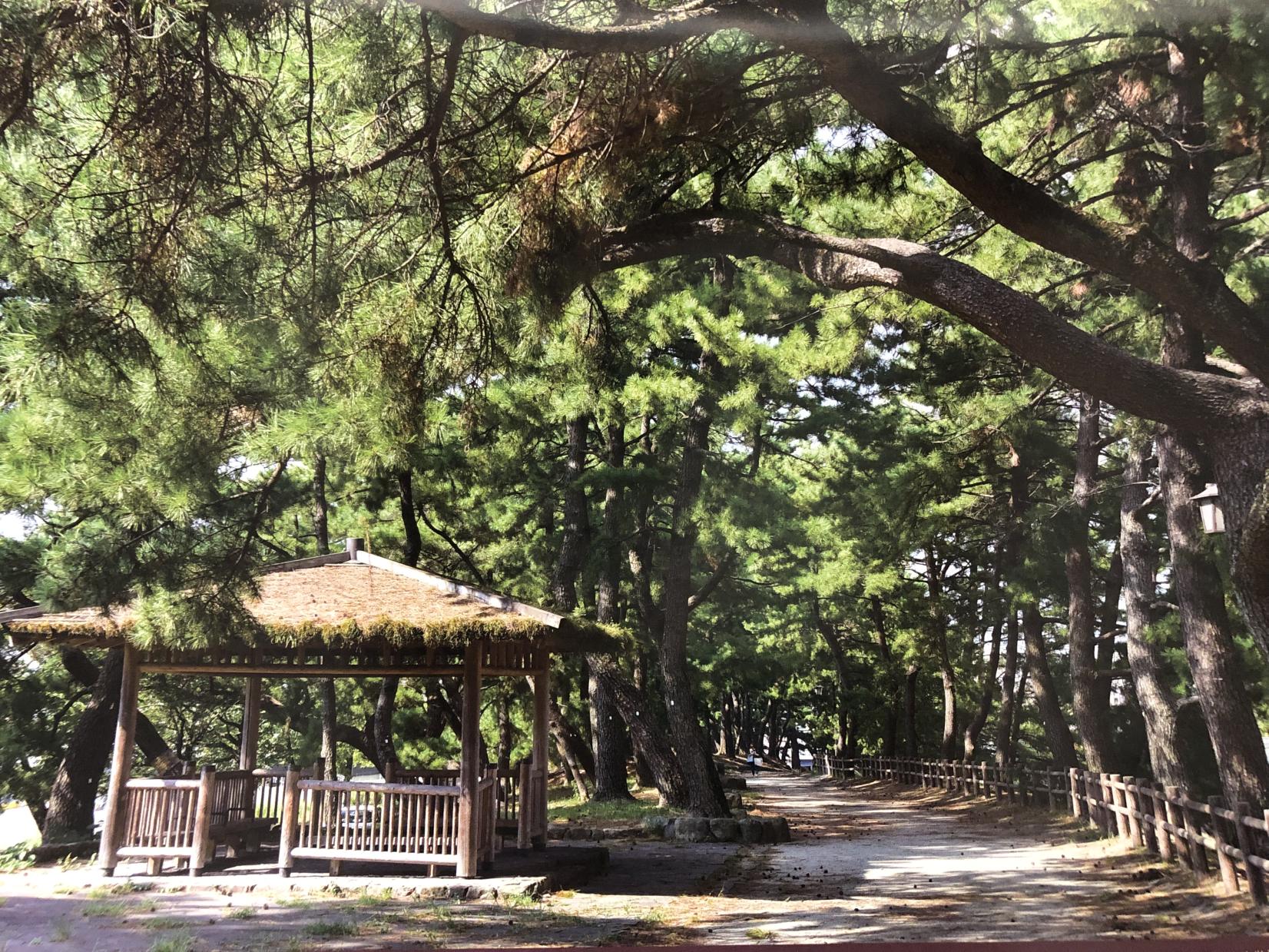 江戸時代から甘味が広く受け入れられていた北九州-0