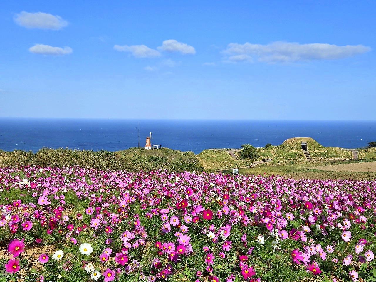 大島遊歩道・風車展望所（宗像市大島）-0