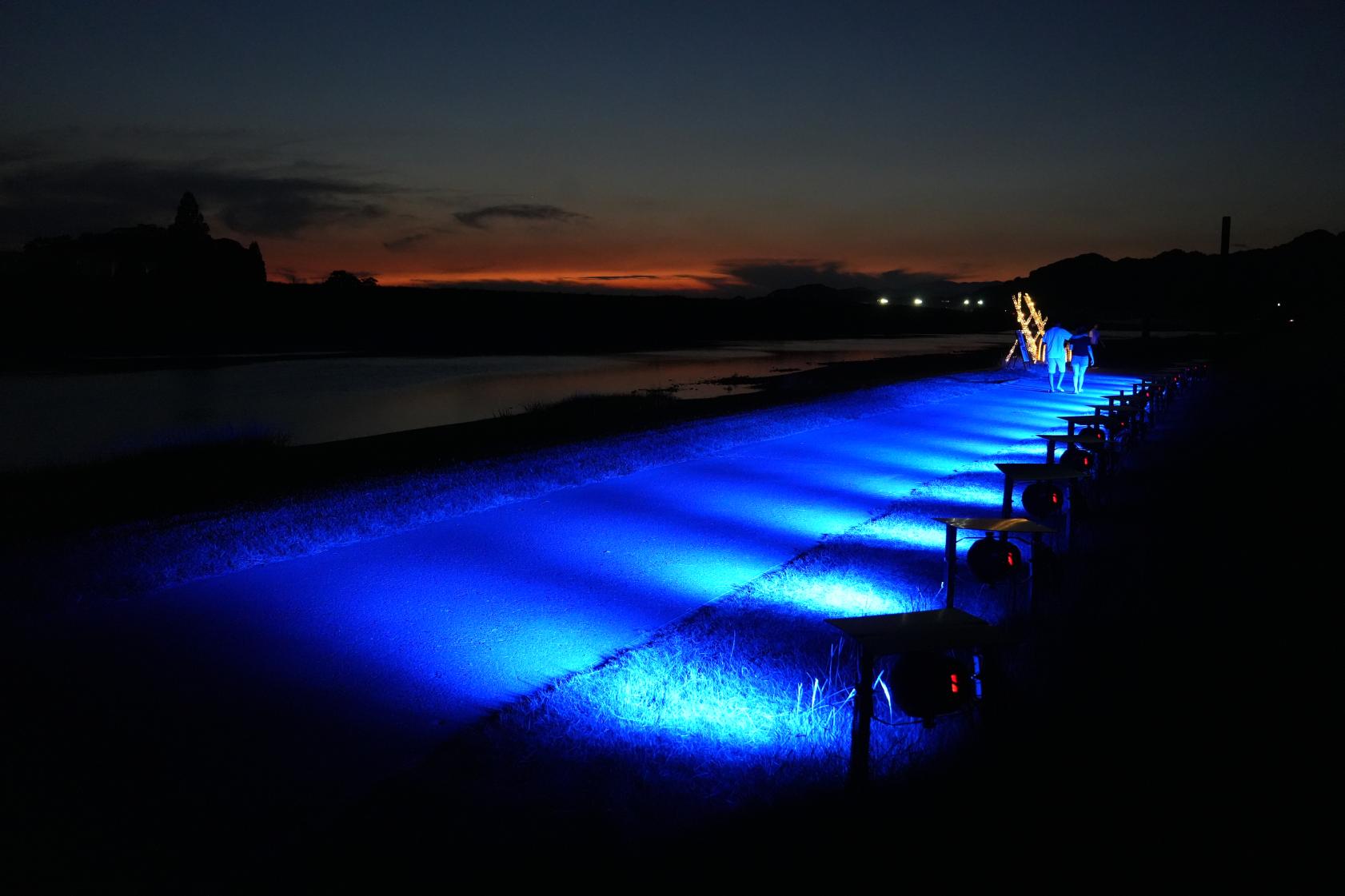 幻想的なライトアップ-1