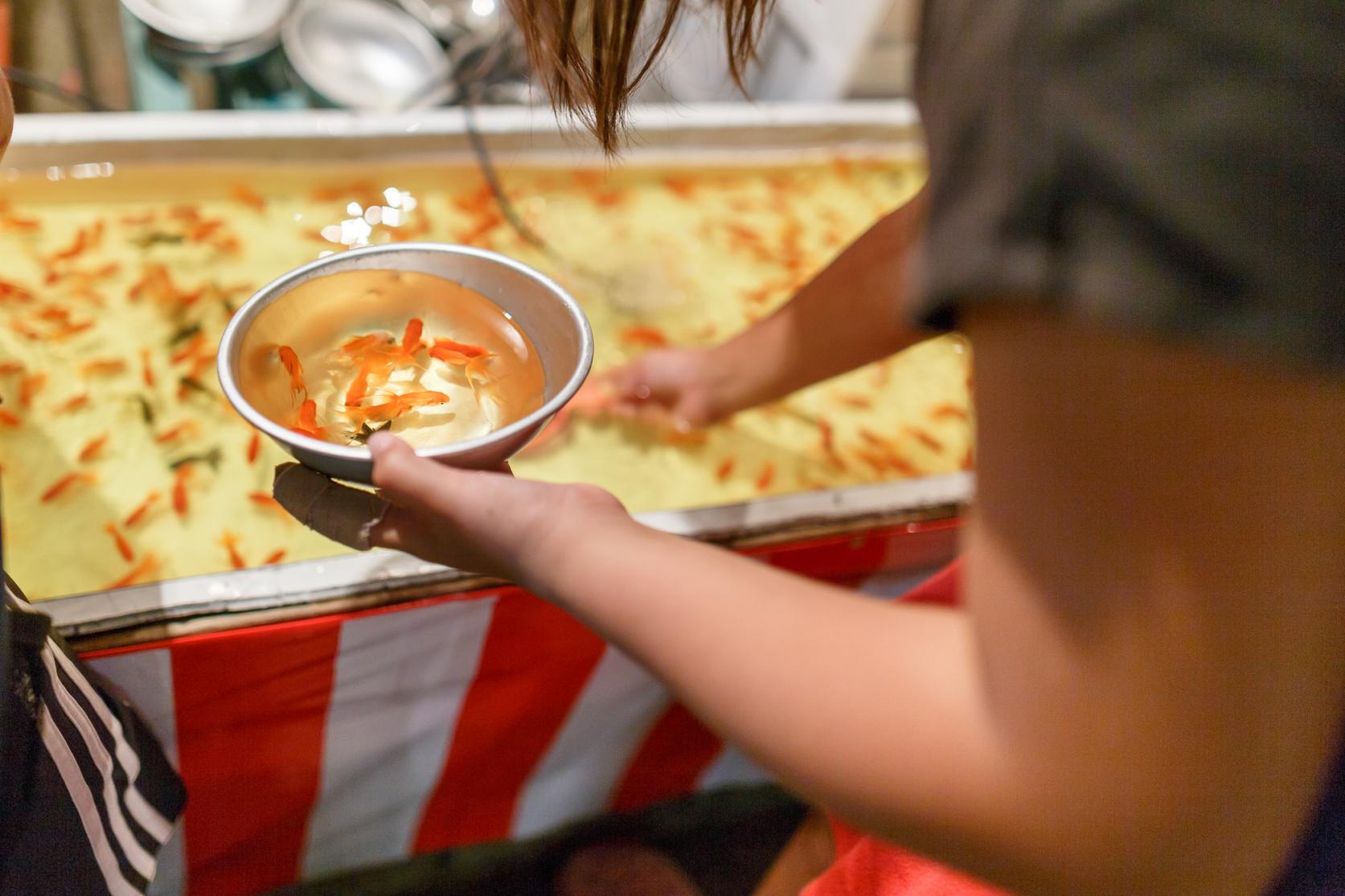 露店めぐりを楽しもう！-5