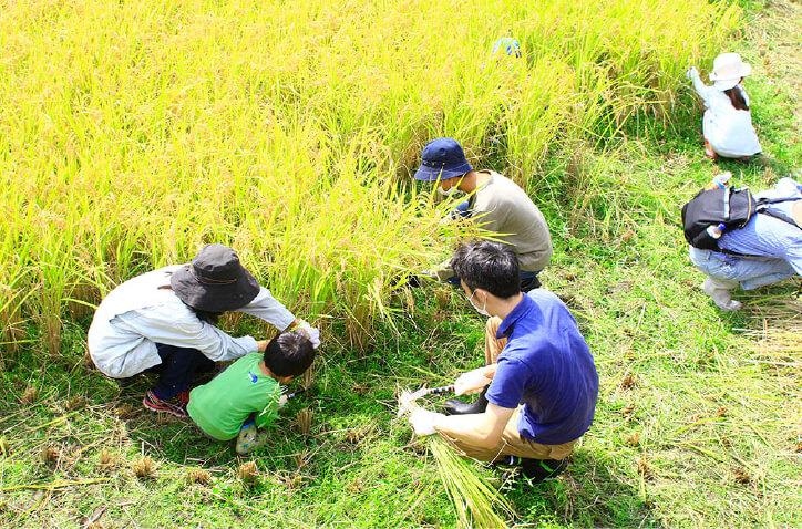 【農泊とは？】農山漁村に滞在して、その土地の魅力を味わう体験-0