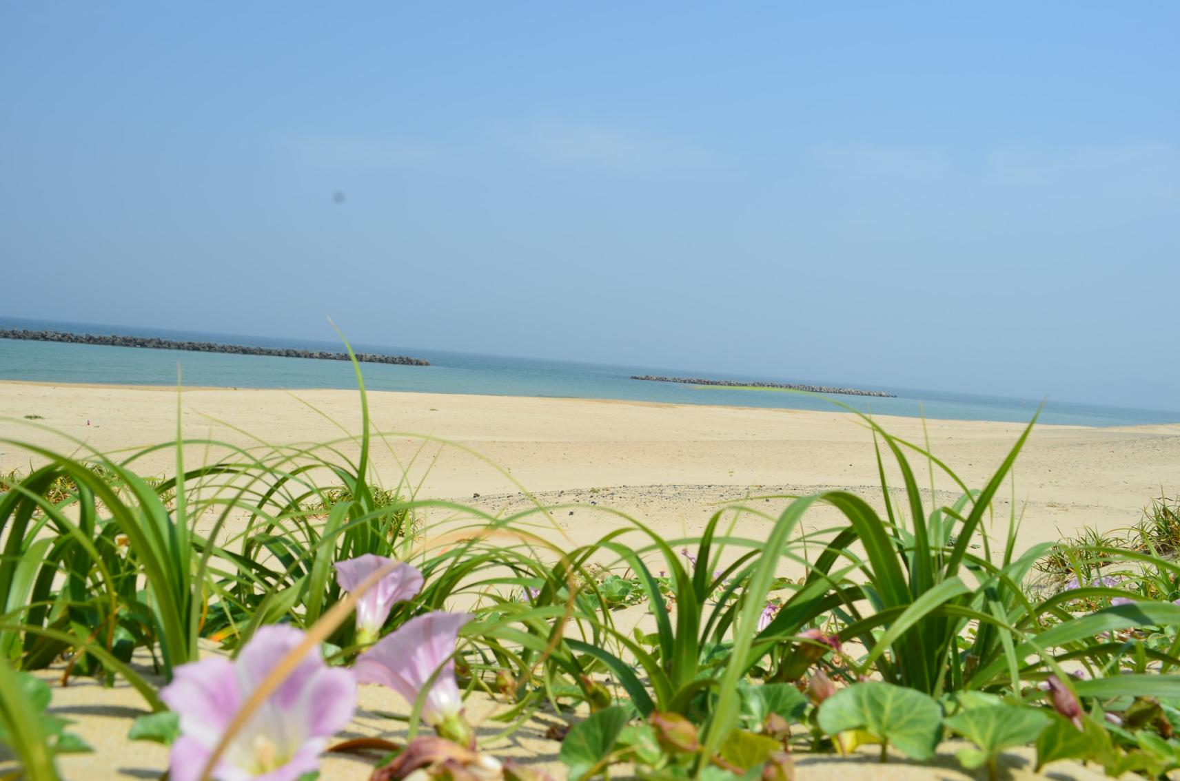 コースの流れ-2