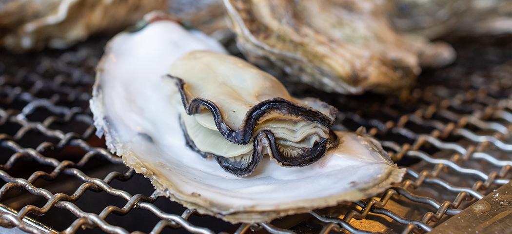 人気高まる糸島食材-0