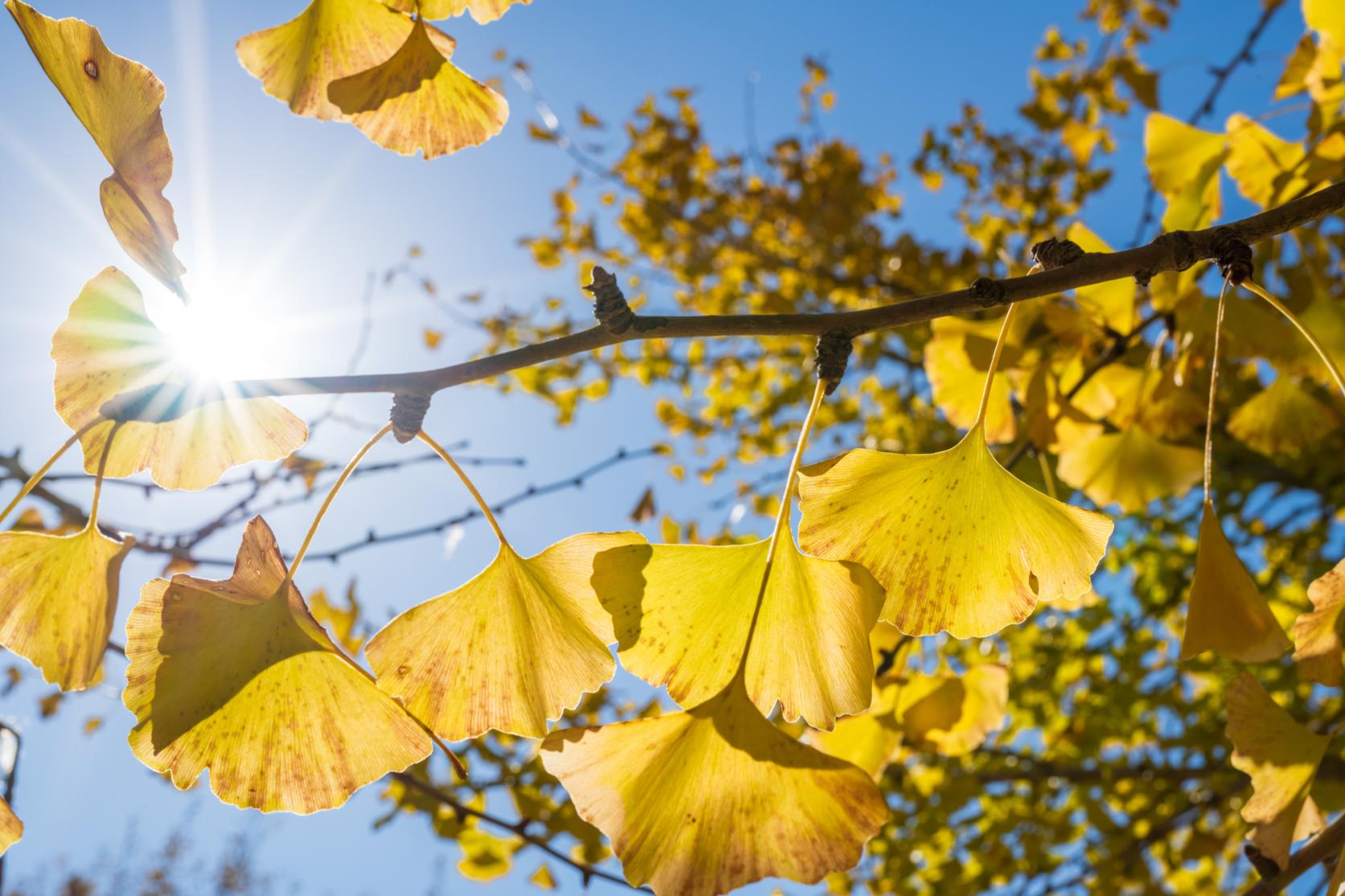 同時開催イベント-0