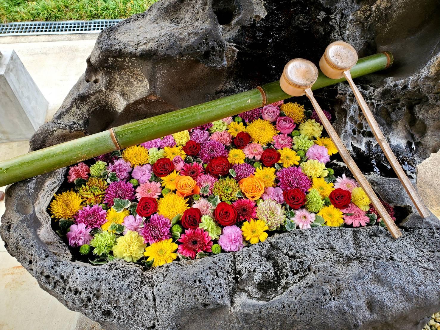 「糸島花手水」とは-2