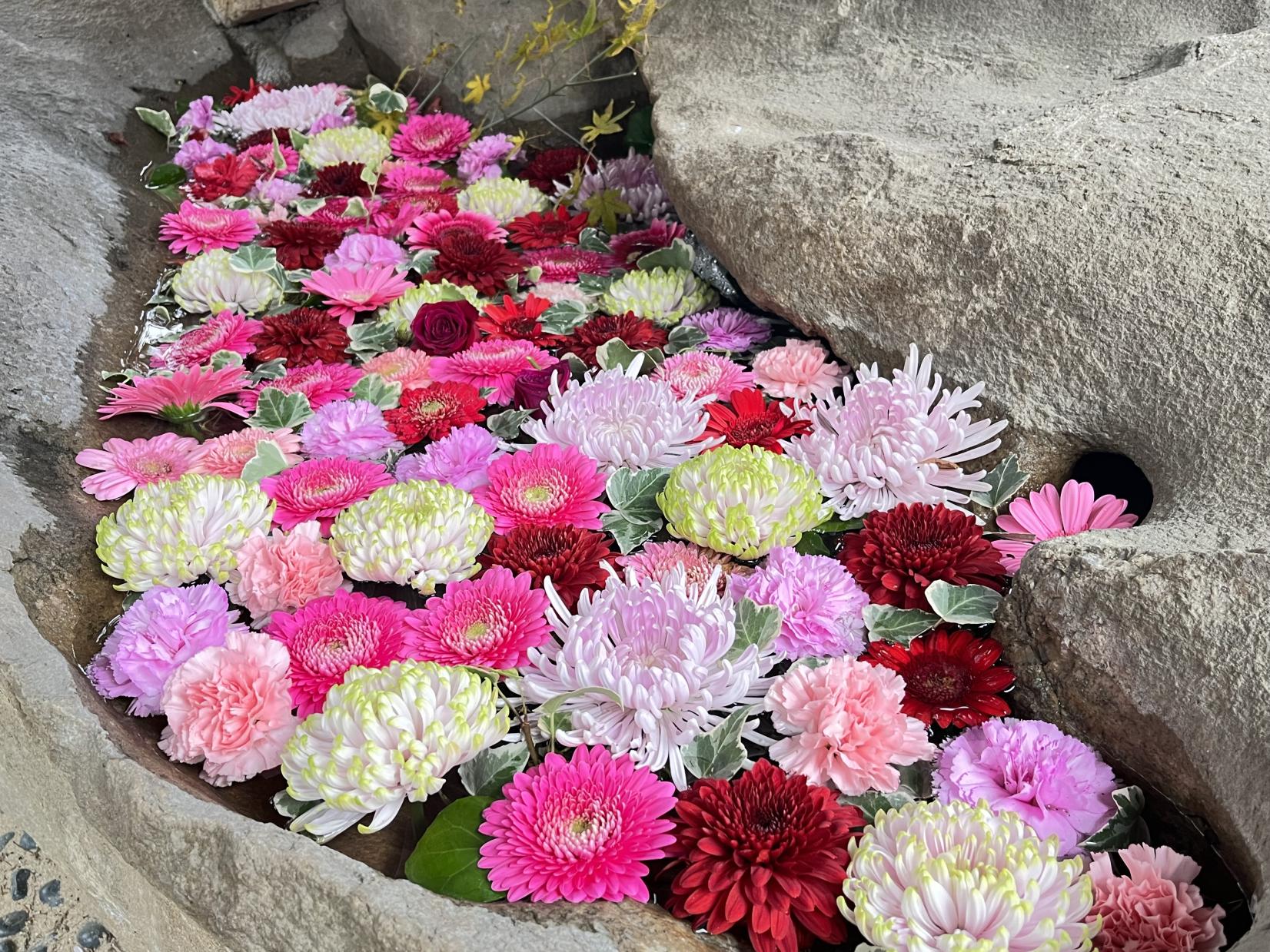 「糸島花手水」とは-0