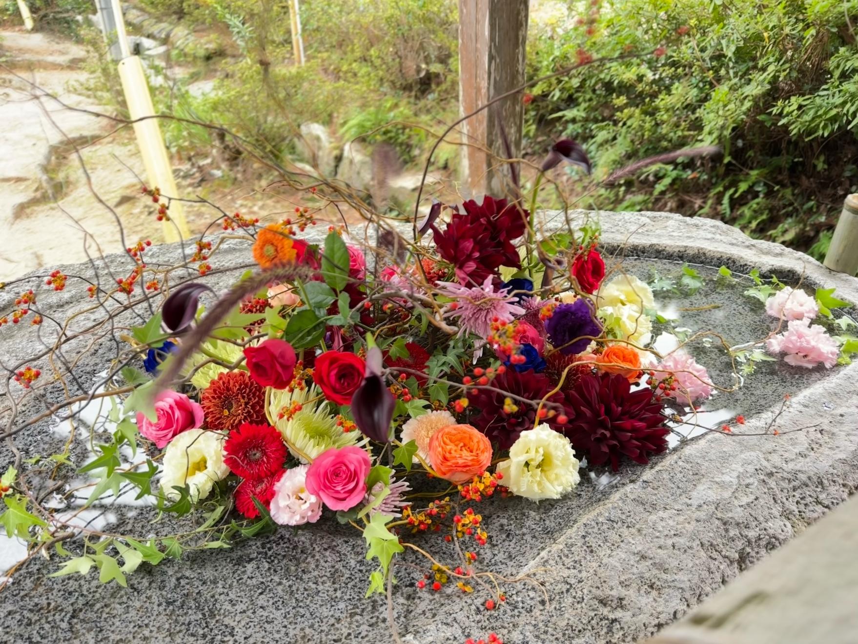 2025年11月1日（土）～30日（日）-0