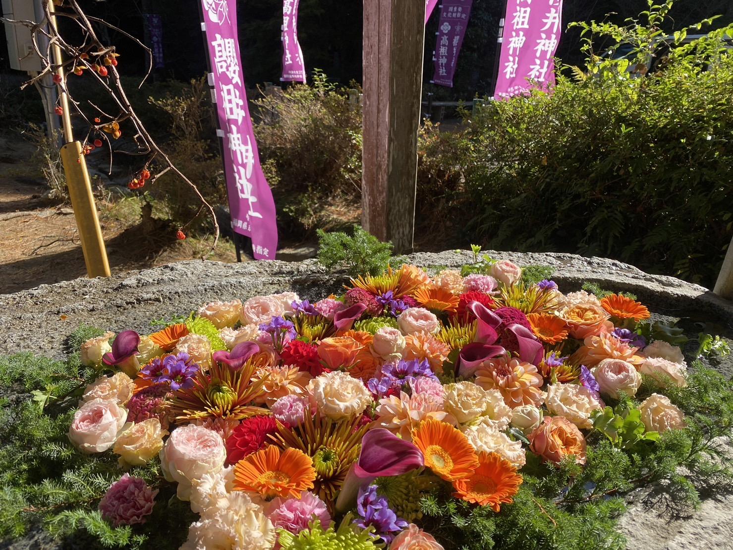 2025年11月1日（土）～30日（日）-1