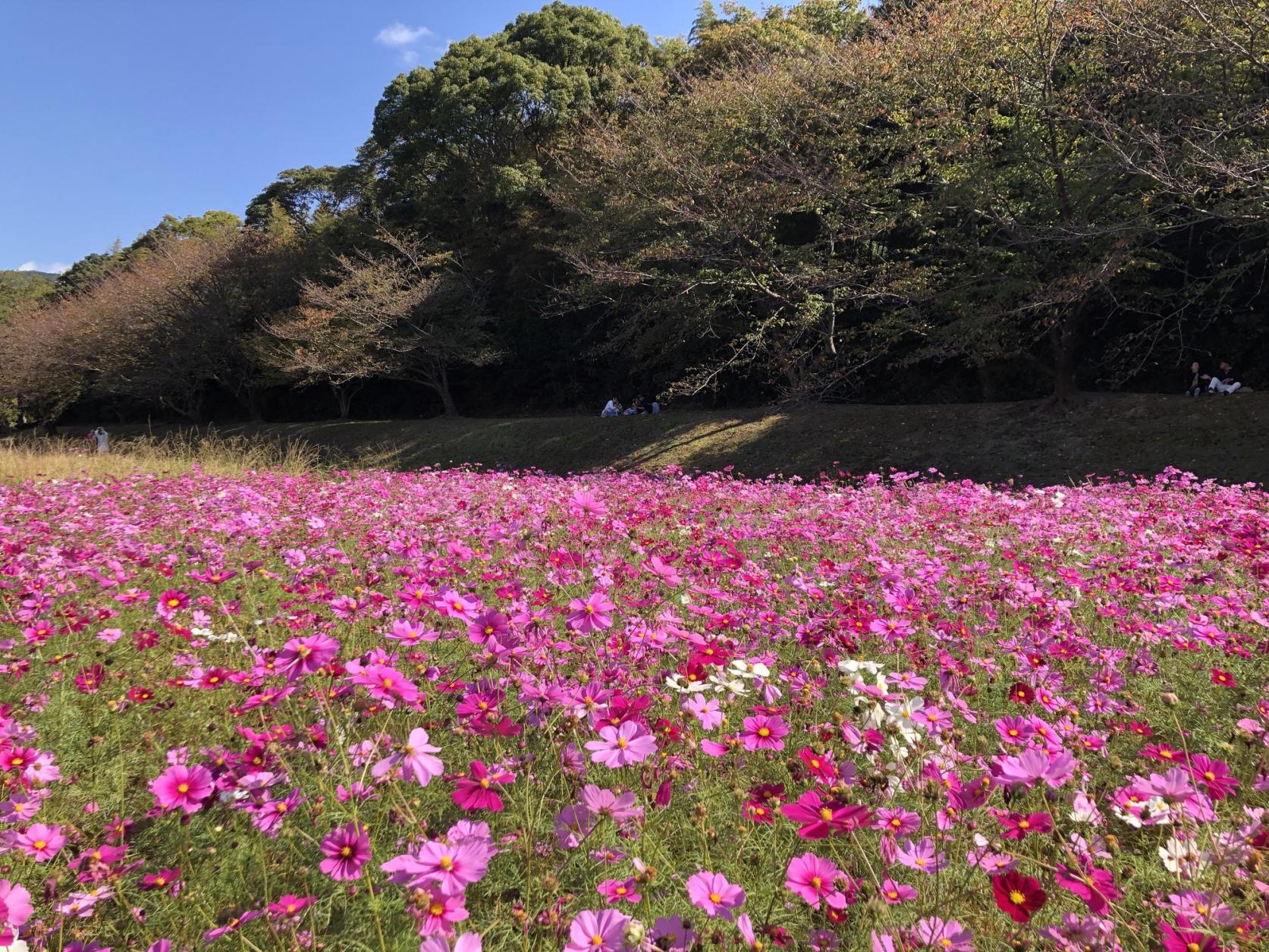 水城跡（太宰府市）-0
