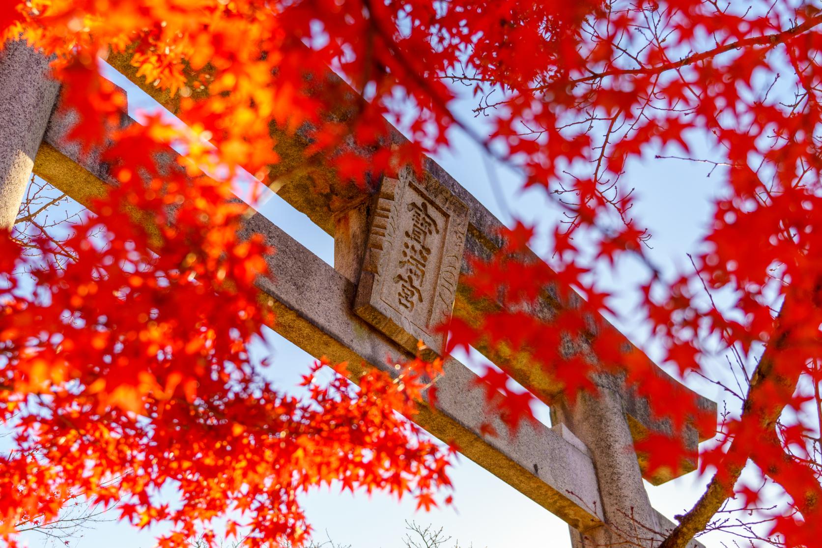 圧巻の紅葉と、今しかない絶景-1