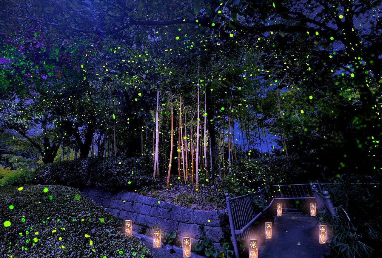 石橋文化センター ウインターイルミネーション 「光のミュージアム」（久留米市）-2