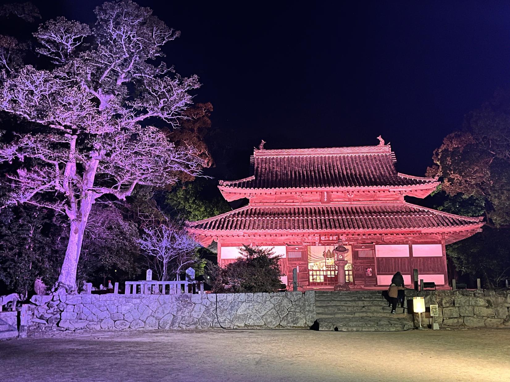 ライトアップ in 令和の都だざいふ-0