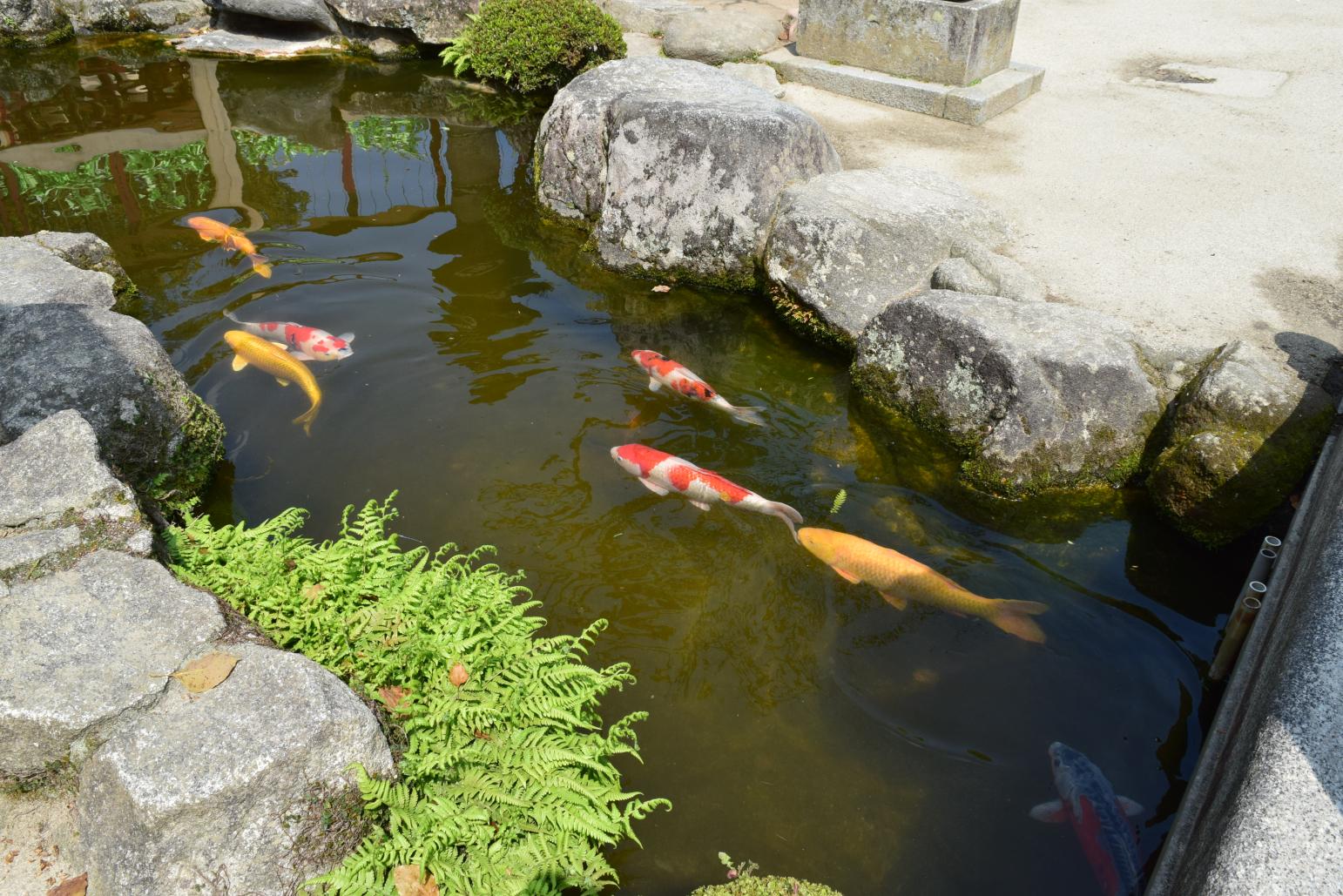 「金曜の旅ランチ」コース限定　太宰府散策-4