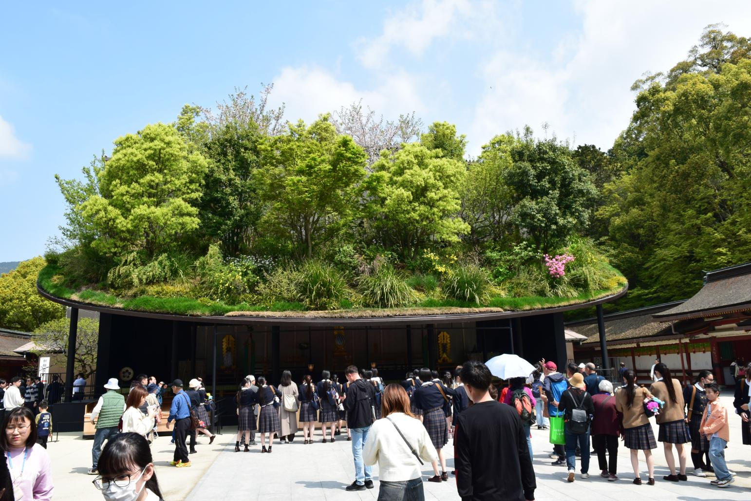 「金曜の旅ランチ」コース限定　太宰府散策-2