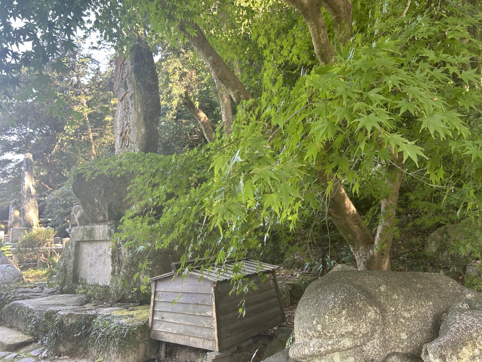 「金曜の旅ランチ」コース限定　太宰府散策-5