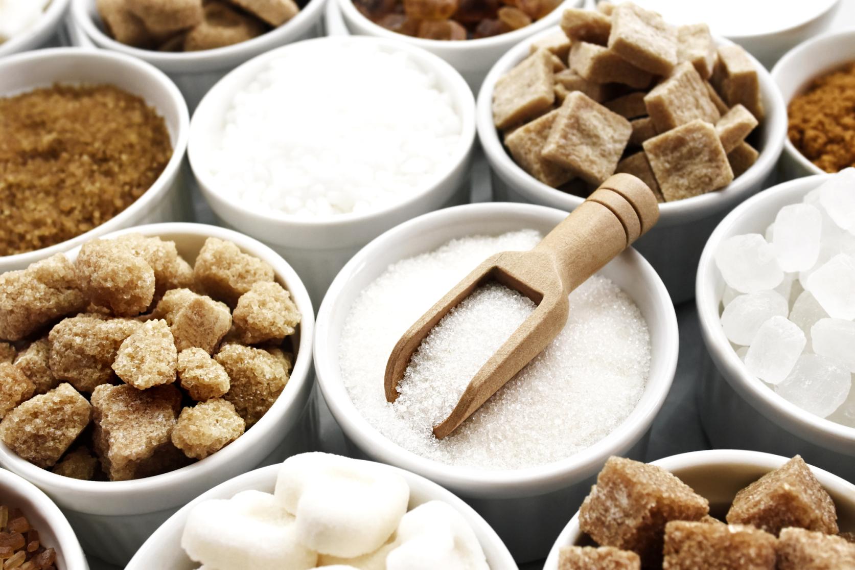 【背景3】温暖な気候と食の嗜好-0