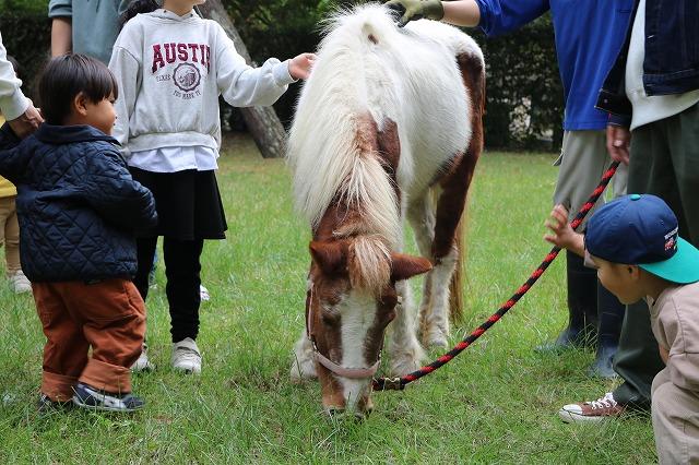 海の中道海浜公園（福岡市）-0