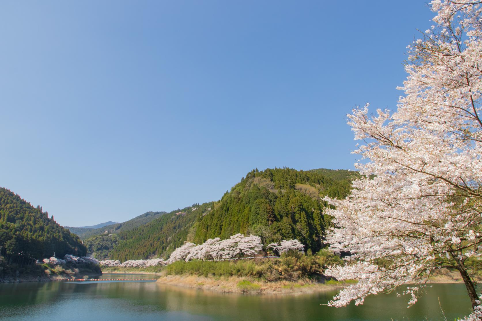 日向神峡（ひゅうがみきょう）-4