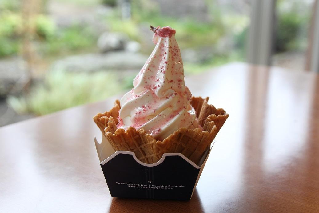 道の駅おおとう桜街道-4