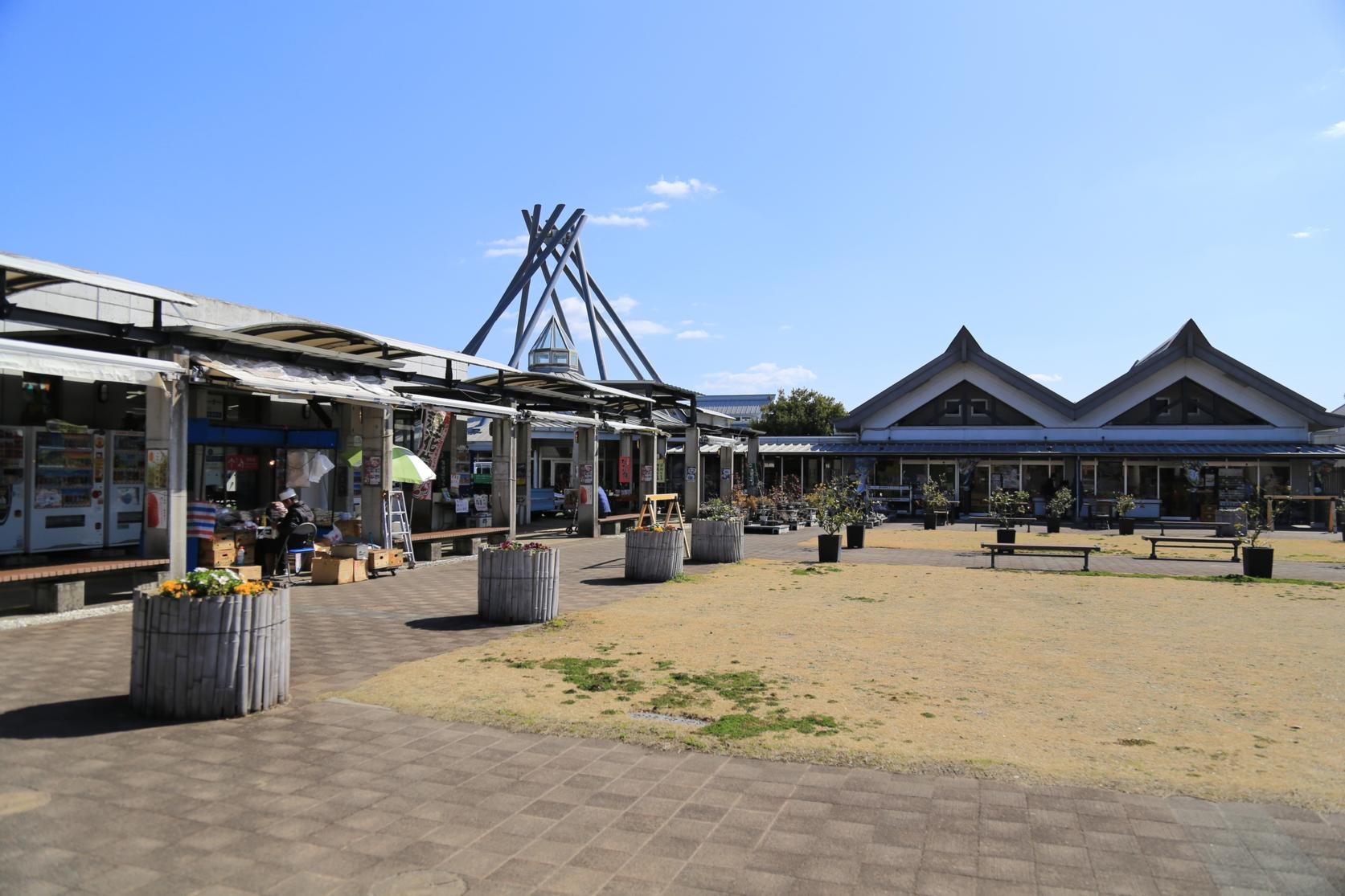 道の駅しんよしとみ遺跡前-0