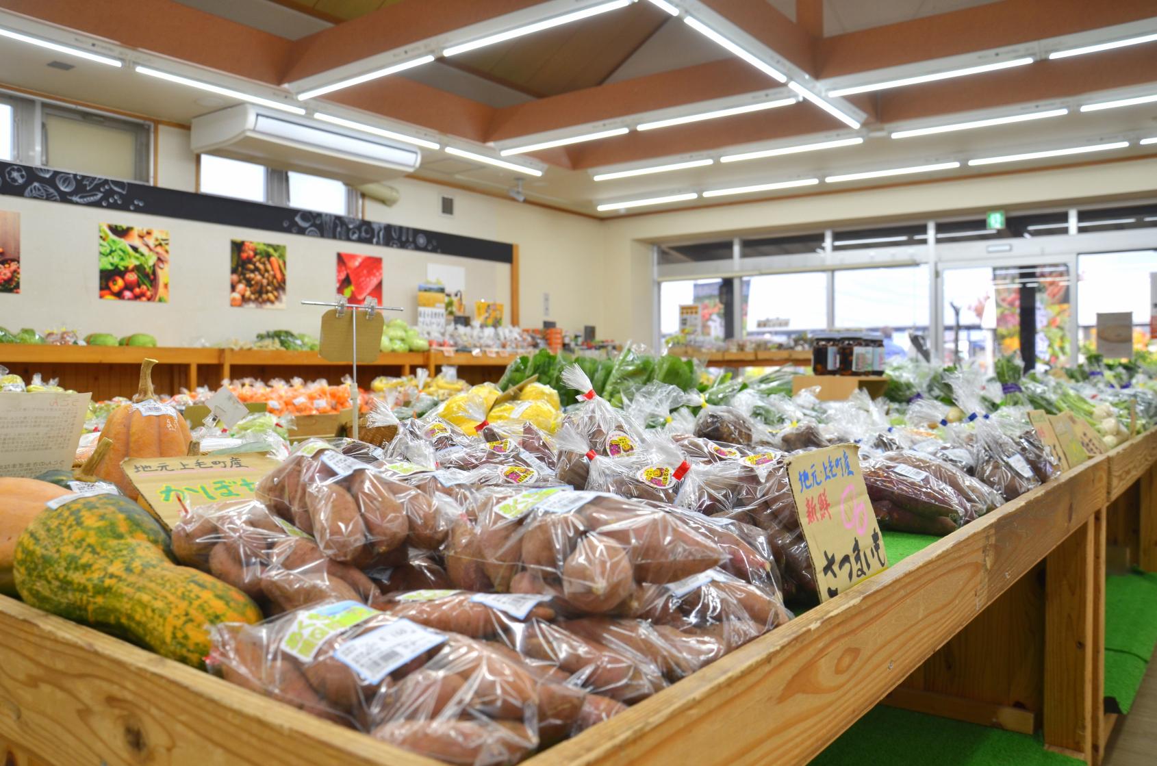 道の駅しんよしとみ遺跡前-1
