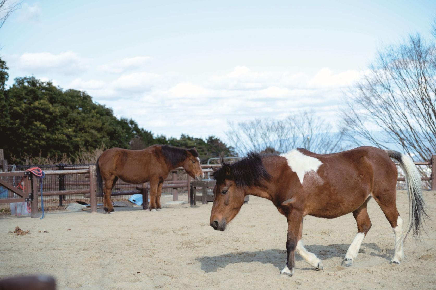[Experience] ABURAYAMA FUKUOKA-3