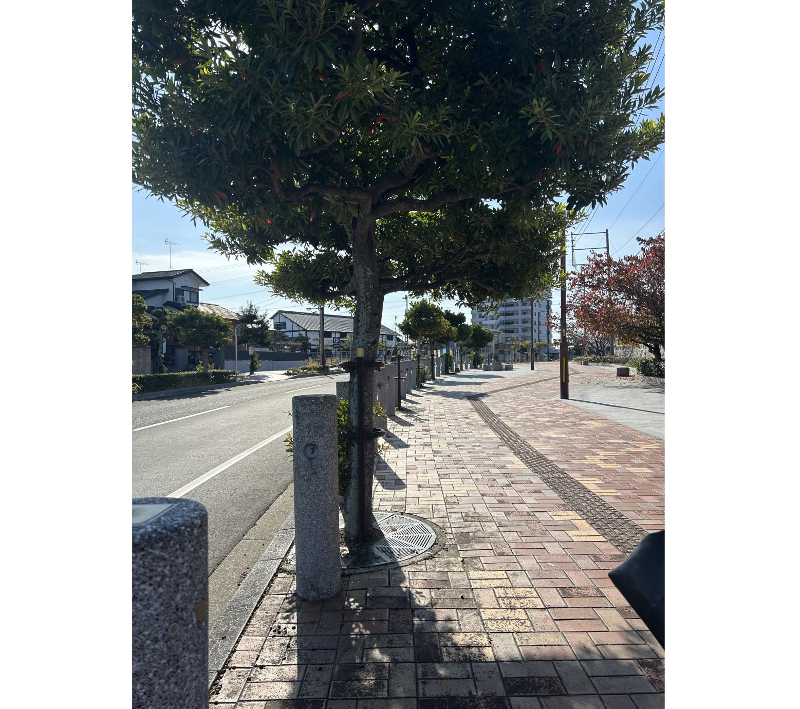 風情あふれるまち歩き-3