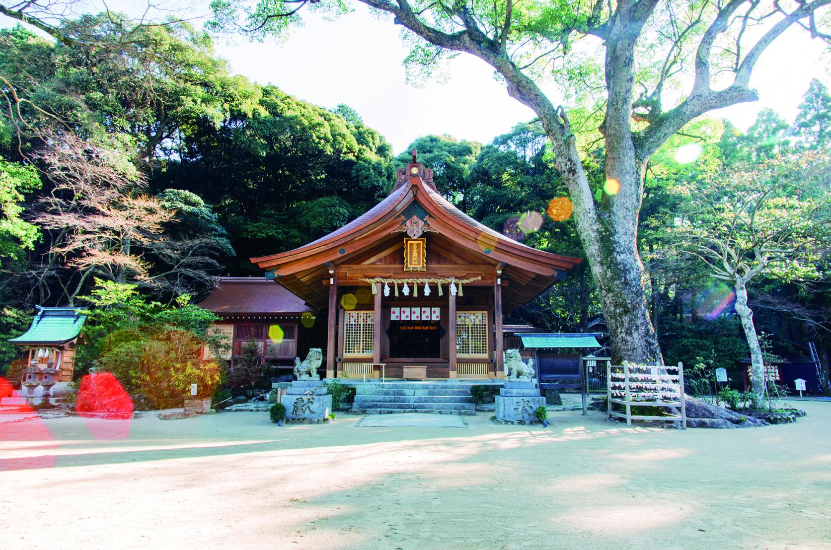 [Must-see spot] Homangu Kamado Shrine-0