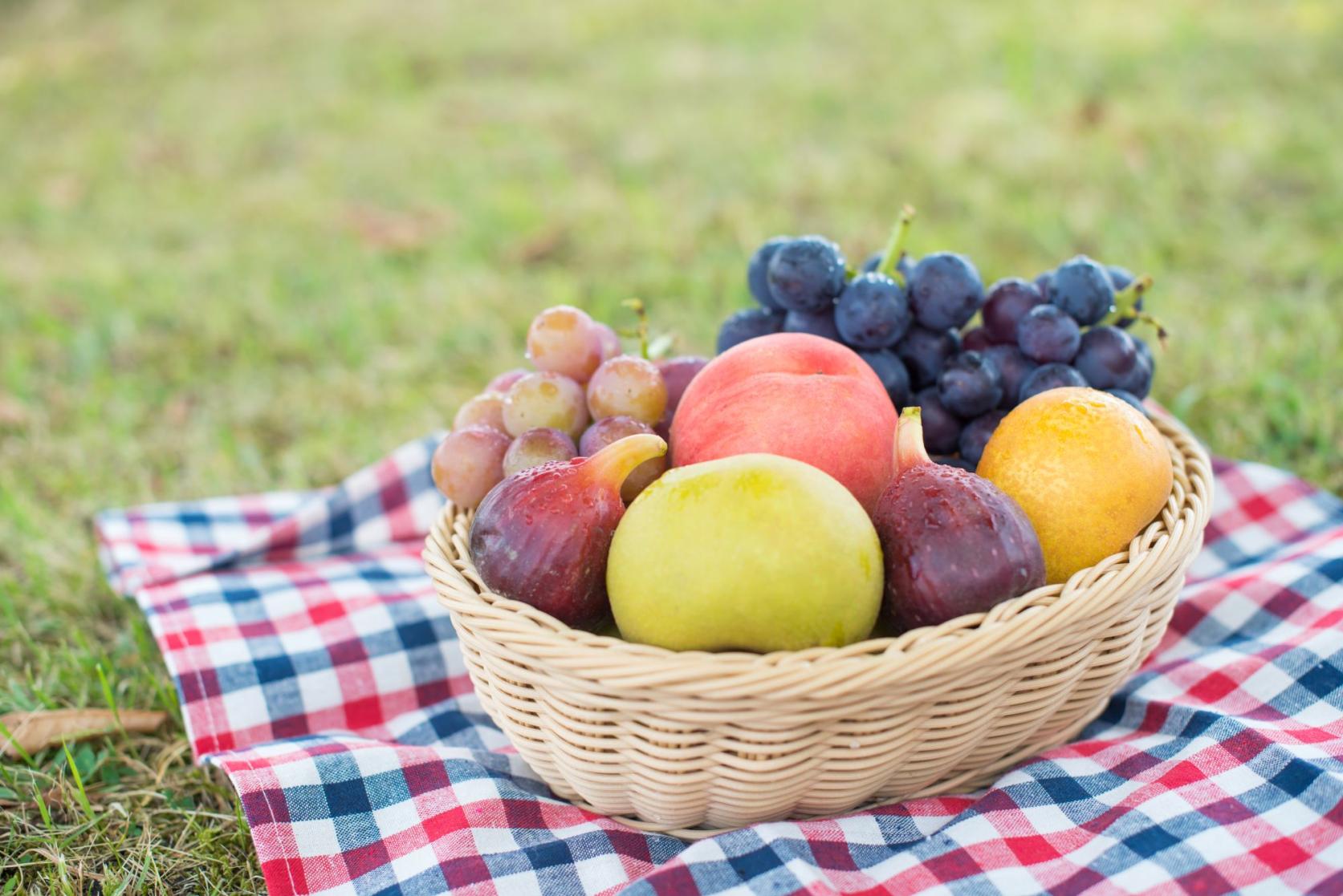 [Experience] Fruit Picking-1