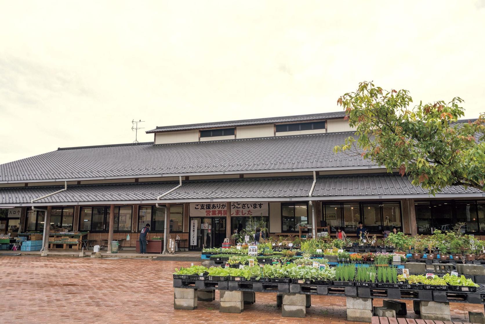 [Farmers’ Market] Sanren Suisha-no-sato Asakura-0