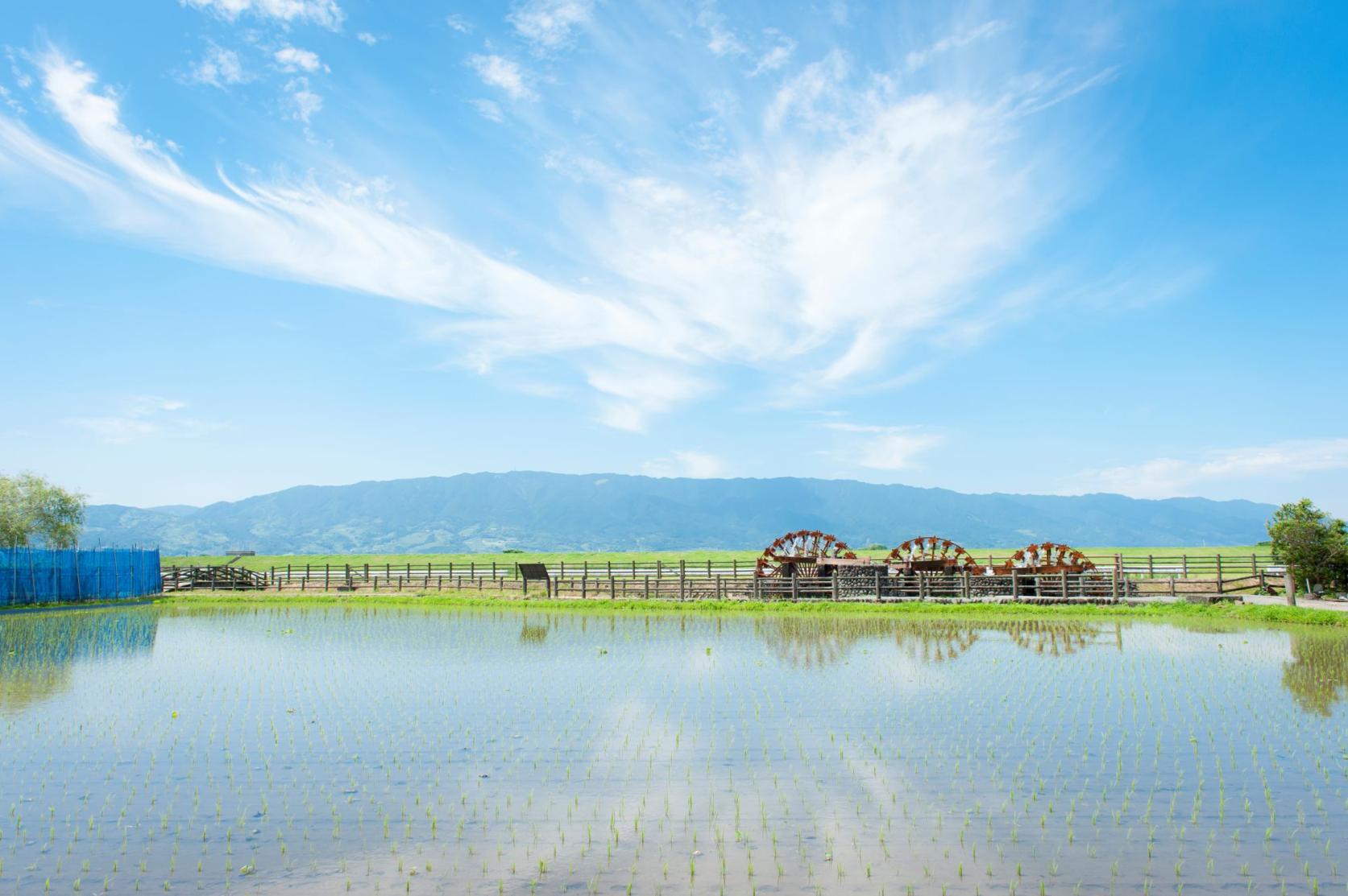 [Farmers’ Market] Sanren Suisha-no-sato Asakura-2