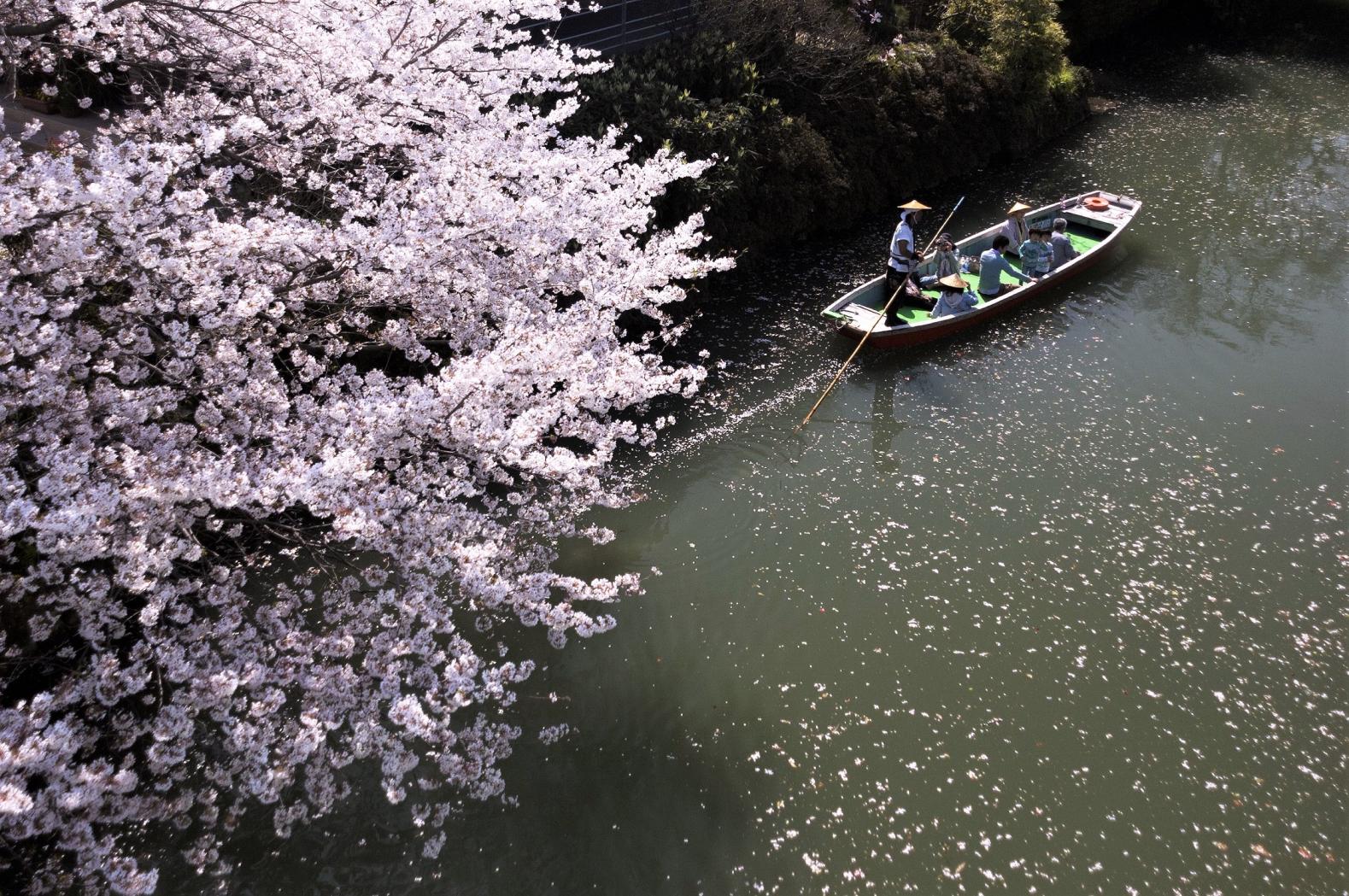 ここだからこそ体験できる！アクティビティを通してちくごの魅力に触れる旅（柳川市・大木町・大川市）