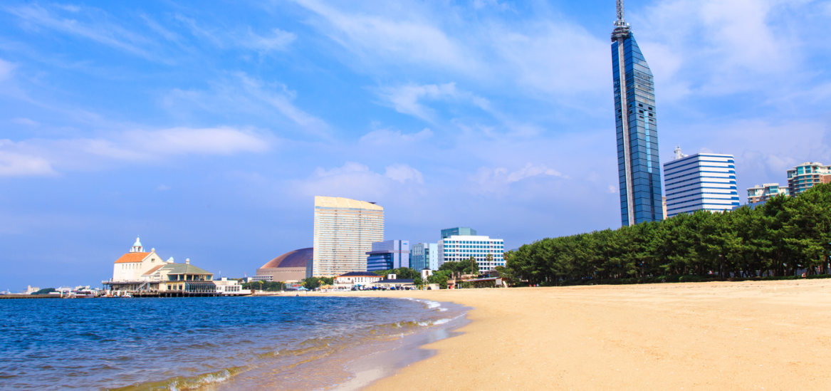 舞鹤公园 | 旅游景点 | VISIT FUKUOKA -福冈县旅游官网